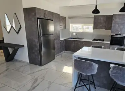 Brand New Three Bedroom Villa in Avgorou photo 4