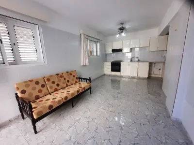 Ground Floor  Apartment in Kapparis Area photo 4