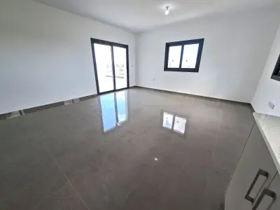 Key Ready Penthouse in Liopetri photo 5