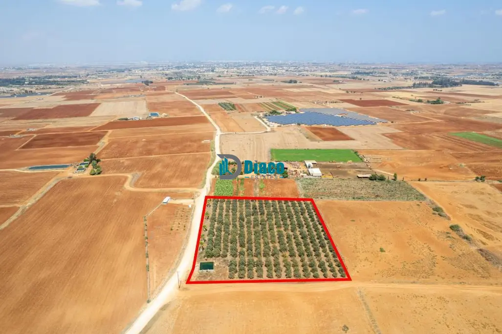 Agricultural Land For Sale in Frenaros Area