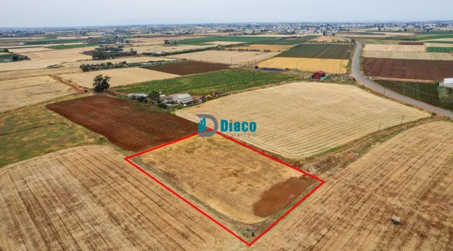 Agricultural Land in Avgorou for Sale photo 1