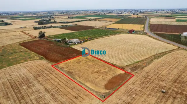 Agricultural Land in Avgorou for Sale