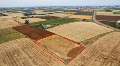 Agricultural Land in Avgorou for Sale