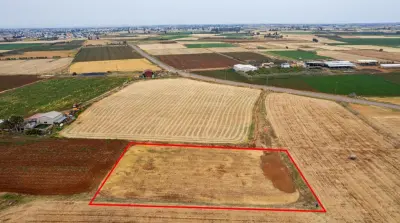 Agricultural Land in Avgorou for Sale photo 2