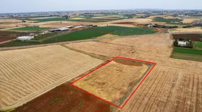 Agricultural Land in Avgorou for Sale photo 3