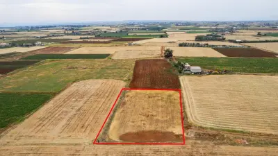 Agricultural Land in Avgorou for Sale photo 4