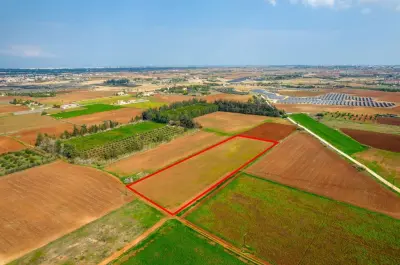 Acricultural Land for sale in Frenaros Area photo 2