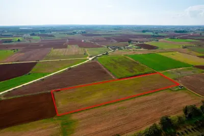 Acricultural Land for sale in Frenaros Area photo 3