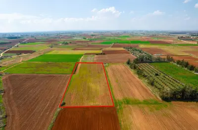 Acricultural Land for sale in Frenaros Area photo 4