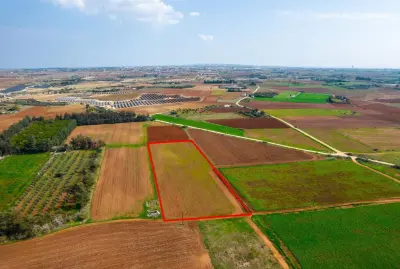 Acricultural Land for sale in Frenaros Area photo 5